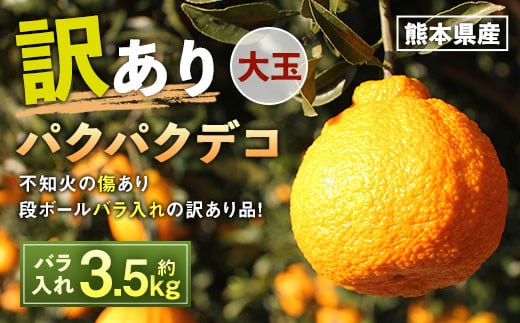 パクパクデコ 約3.5kg 訳あり 大玉 【2026年2月下旬〜6月下旬発送】熊本県水俣市10000果物・フルーツみかん・柑橘類