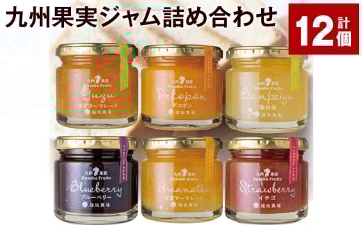 九州果実ジャム詰め合わせ 6種類 120g×12個(各2個) ジャム 甘夏 ブルーベリー イチゴ デコポン 晩白柚 ゆず熊本県水俣市29000鍋セット・総菜・加工食品ジャム・はちみつ