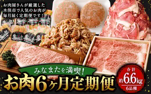 みなまたを満喫!お肉6ヶ月定期便 総量約6.6kg 豚肉 牛肉 鶏肉 こま切れ タレ漬け ステーキ ハンバーグ 腸 詰め合わせ 黒毛和牛 スライス 肉 セット おかず 冷凍 定期便 6回 焼肉 小分け熊本県