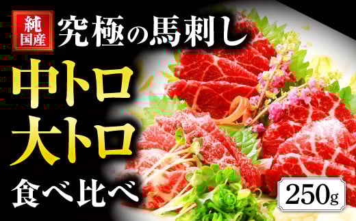 国産 熊本 馬刺し 霜降り中トロ・大トロ食べ比べセット 計250g熊本県水俣市24000肉ジビエ