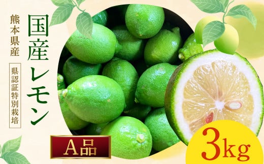 グリーンレモン A品 約3kg (県認証特別栽培) 国産 柑橘 果物 フルーツ【2025年8月-11月上旬発送】熊本県水俣市12000果物・フルーツみかん・柑橘類