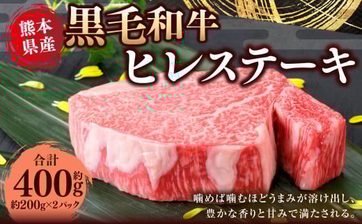 熊本県産 黒毛和牛 ヒレステーキ 約400g (約200g×2) 国産 熊本 和牛 牛肉 牛 肉 ヒレ お肉 冷凍熊本県水俣市48000肉牛肉