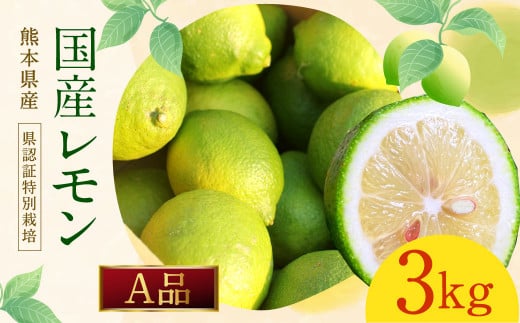 イエローレモン A品 約3kg 国産 柑橘 果物 フルーツ【2025年12月上旬〜2026年6月上旬迄発送予定】熊本県水俣市12000果物・フルーツみかん・柑橘類
