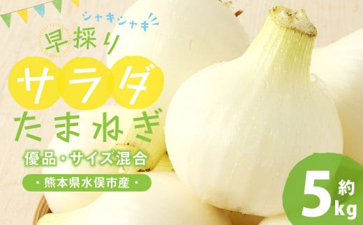 1年に1度だけ!甘くて柔らかい!早採りサラダ玉ねぎ 約5kg 優品 サイズ混合 玉ねぎ タマネギ 玉葱 サラたま 春 新たまねぎ 国産 熊本県 水俣市産  <栽培期間中農薬不使用/熊本県水俣市産/耕人