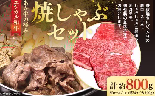 【エシカル和牛】あか牛の極み・焼しゃぶセット 計約800g 赤牛 あか牛 牛肉熊本県水俣市44000肉牛肉
