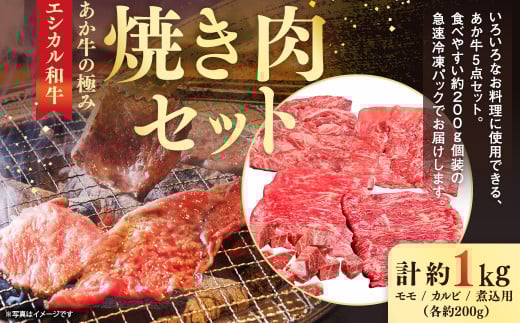 【エシカル和牛】あか牛の極み・焼肉セット 計約1kg もも カルビ 赤牛 あか牛 焼き肉  鉄板焼き熊本県水俣市44000肉牛肉