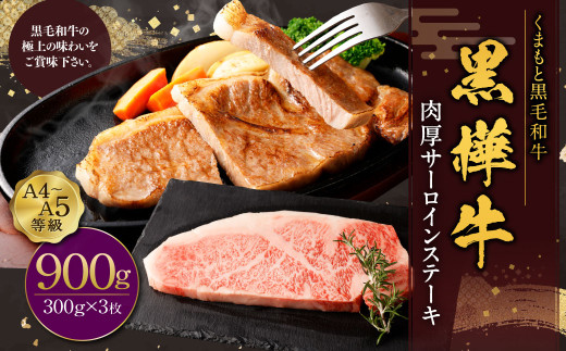 黒樺牛 肉厚サーロインステーキ 計約900g(約300g×3パック) 肉厚 サーロイン ステーキ サーロインステーキ 黒毛和牛 和牛 牛肉 牛熊本県水俣市60000肉牛肉