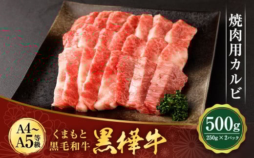 くまもと黒毛和牛 杉本本店 黒樺牛 A4~A5等級 焼肉用カルビ 250g×2 計500g熊本県水俣市24000肉牛肉
