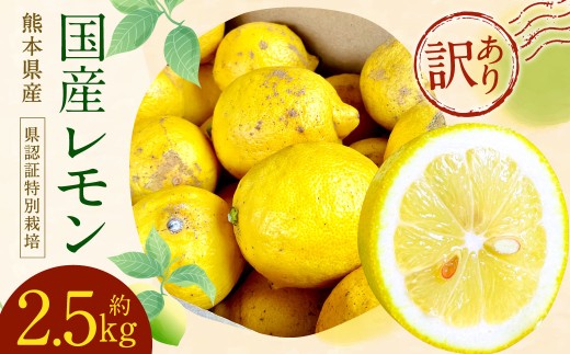 グリーンレモン 訳あり C品 計約2.5kg (県認証特別栽培) 檸檬 れもん レモン 柑橘 【2025年8月-11月上旬発送】熊本県水俣市6000果物・フルーツみかん・柑橘類