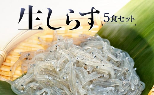 生しらす5食セット和歌山県海南市11000魚介・海産物その他 魚介・海産物