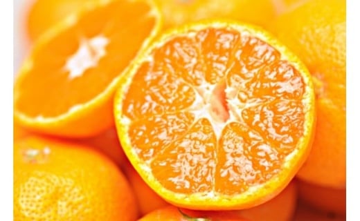 ms\nn݂ ƒp 5kg S`SSSTCYa̎RCs8000ʕEt[c݂Ek