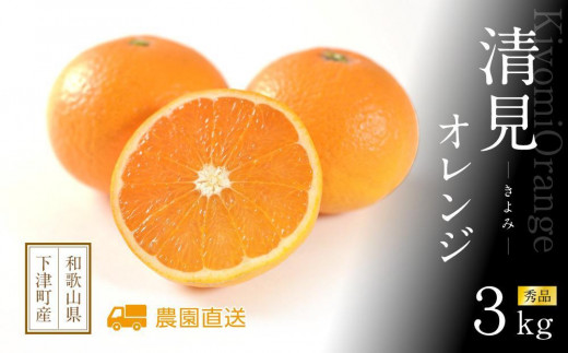 和歌山県海南市「まごころ産直みかん」から産地直送 清見オレンジ 3kg 【赤秀】(M・L・2L・3Lサイズおまかせ) 清美 清見 きよみ キヨミ 清美オレンジ きよみオレンジ キヨミオレンジ 清