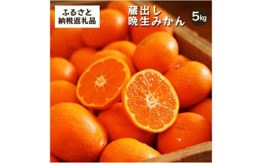 蔵出しみかん晩生 5kg家庭用|和歌山県海南市下津町の特産品蔵出しみかんの晩生品種【2026年1月発送開始】和歌山県海南市16000果物・フルーツみかん・柑橘類