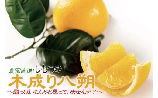 󂠂 ͂  nbTN 킯 6kg 召TCYbCsY ܂Y݂ ؐ n͂ k ݂ t[c a̎R݂ Y Yn Î_ςđu₩