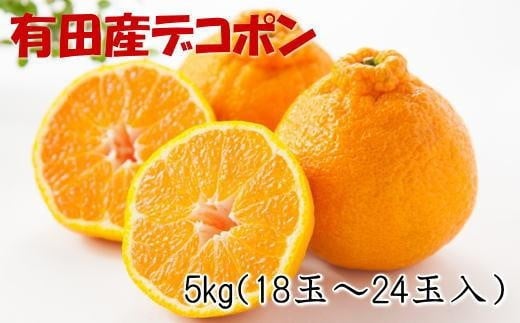 mZnIBLcỸfR|5kg(18ʁ`24ʓEGȏ)2026N2{菇mTM26na̎RCs20000ʕEt[c݂Ek