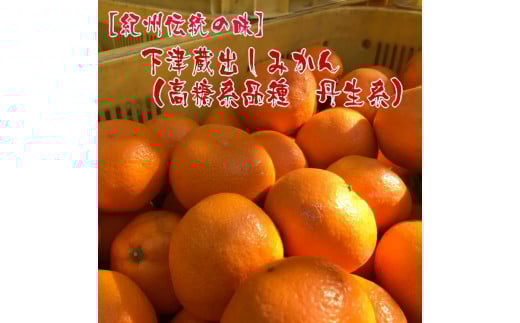 【紀州伝統の味】 下津 蔵出し みかん ( 高糖系品種 丹生系 ) 2kg【S〜L混合サイズ】【先行予約】和歌山県海南市8000果物・フルーツみかん・柑橘類