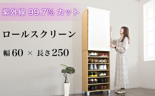 ロールスクリーン(60×250)byt1013353和歌山県海南市19000衣類・装飾品・工芸品その他 装飾品・工芸品