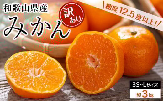 和歌山県産 糖度 12.5度以上 訳あり みかん 3kg 3S〜Lサイズ混合【NY4】和歌山県海南市8000果物・フルーツみかん・柑橘類