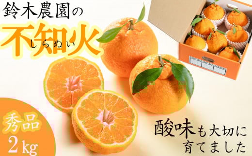 【R8年出荷分】鈴木農園の不知火2kg(2L又は3L) 和歌山県から農家直送!デコポン しらぬい オレンジ 皮がむきやすい【北海道・沖縄・一部離島への配送不可】和歌山県海南市12