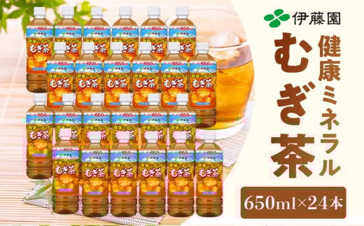 伊藤園 健康ミネラル麦茶 650ml × 24本 1ケース 【 お茶 麦茶 むぎ茶 ドリンク ドリンクお茶 ペットボトル ペットボトルお茶 箱 和歌山県 海南市 AX96104 】和歌山県海南市9000お茶・飲料お茶