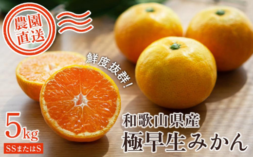 sԏGtyɑ݂z5kgia̎REÒYjYniSESSTCYjmMg16na̎RCs10000ʕEt[c݂Ek