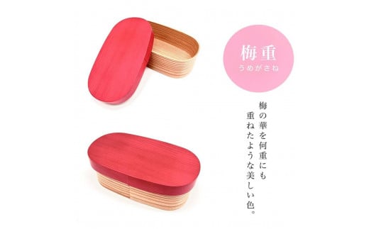 m~disNjnȂ ٓ IBh  URARA Y c 킹W {mYS129na̎RCs42000G݁EpiHEOX