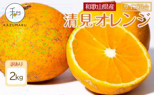 󂠂 X{_̎I IW 2kg a̎RY TCY mkCEEzsnmRN23nm2026N2{5{\na̎RCs6000ʕEt[c