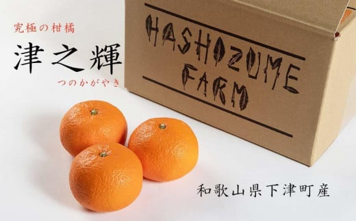 津之輝 約3kg S・M・Lサイズおまかせ 《赤秀》 和歌山県産 農園直送 まごころ産直みかん 【北海道・沖縄県・一部離島 配送不可】 つのかがやき 津の輝き 春 柑橘 果物 みかん オレンジ【Mg6】