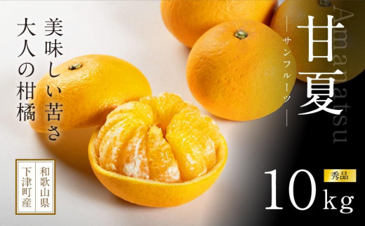 甘夏 約10kg 大小混合 《秀品》 和歌山県産 農園直送 まごころ産直みかん 【北海道・沖縄県・一部離島 配送不可】サンフルーツ 新甘夏 田ノ浦オレンジ あまなつ みかん【Mg9】和歌山県海南