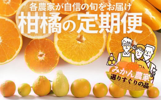 【定期便/全10回】厳選・柑橘の定期便 和歌山県下津町から農園直送!まごころ産直みかん【北海道・沖縄県・一部離島 配送不可】旬 みかん 早生 由良 完熟 蔵出し 津之輝 甘夏 不知火和歌