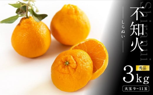 不知火 約3kg 大玉9〜11玉入り 《赤秀》 和歌山県産 農園直送 まごころ産直みかん 【北海道・沖縄県・一部離島 配送不可】 みかん 果物 柑橘 しらぬい デコポンと同じ品種 でこぽん和歌山県