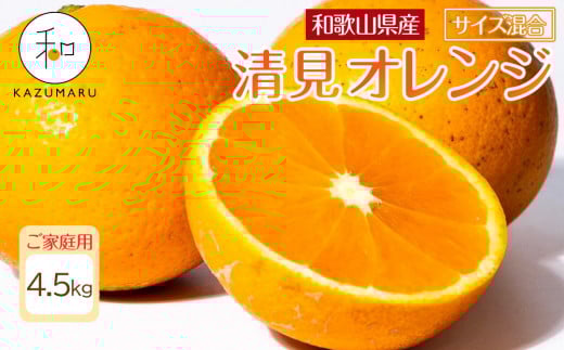 ƒp X{_̎I IW 4.5kg a̎RY TCY mkCEEzsnmRN22nm2026N2{5{\na̎RCs8000ʕEt[c