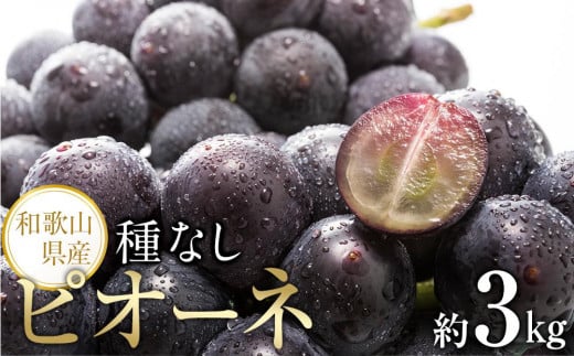 yVNEYza̎R炬Y˂ȂsI[l3kg2026N8{菇yTM127za̎RCs26000ʕEt[c}XJbgEԂǂ
