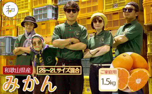 ƒp X{_̎I ݂ 1.5kg a̎RY 2S~2LTCY mkCEEzsnmRN6nm2025N11{珇na̎RCs6000ʕEt[c݂Ek