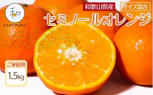 ƒp X{_̎I Z~m[IW 1.5kg a̎RY TCY mkCEEzsnmRN26nm2026N4{珇na̎RCs6000ʕEt[c݂E