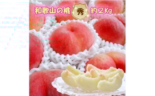 mGina̎Ruh 2kgI6ȍ~mNGT5wna̎RCs14500ʕEt[cE