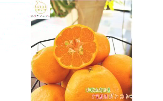 Lc炿 n |Jiƒpj7.5kgms\nmMS46na̎RCs16000ʕEt[c݂Ek