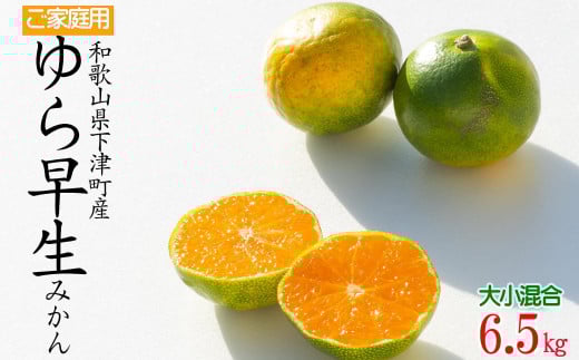 yɑ݂z瑁݂ 6.5kg TCY(a̎REÒY)Yny󂠂z  mMg25na̎RCs11000ʕEt[c݂Ek