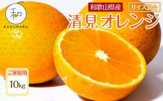 ƒp X{_̎I IW 10kg a̎RY TCY mkCEEzsnmRN39nm2026N2{5{\na̎RCs16000ʕEt[c