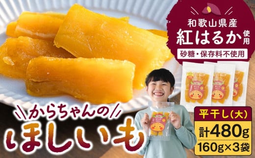 Eۑsgp a̎RY g͂邩 炿̂ق () 3 v480ga̎RCs10000ʕEt[chCt[c