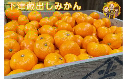 下津蔵出しみかん 約3kg S〜Lサイズいずれか 山下農園和歌山県海南市8500果物・フルーツみかん・柑橘類