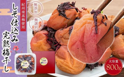 IB썂~gp d݊n~ I 800g  10 [TM196]a̎RCs12000ZbgE؁EHHiЕE~EL`