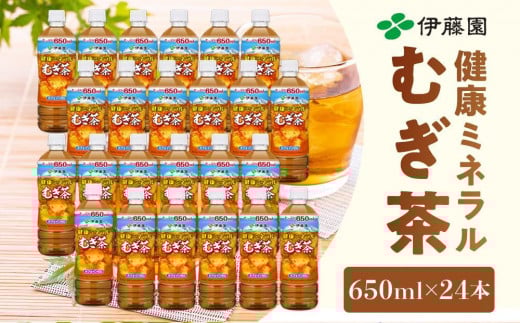 定期便 毎月 全3回 健康ミネラル麦茶 650ml×24本 1ケース 3ヶ月定期便和歌山県海南市28000お茶・飲料お茶