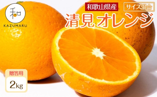 p X{_̎I IIW 2kg a̎RY TCY mkCEEzsnm2026N2{5{\nmRN88na̎RCs8000ʕEt