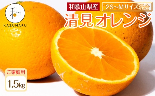 ƒp X{_̎I IW 1.5kg a̎RY 2S`MTCY mkCEEzsnm2026N2{5{\nmRN91na̎RCs6000ʕ