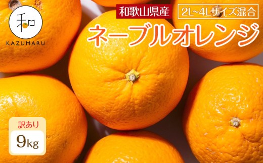 󂠂 X{_̎I ʃl[uIW 9kg a̎RY 2L~4LTCY mkCEEzsnm2026N1{珇nmRN109na̎RCs10000ʕEt[c