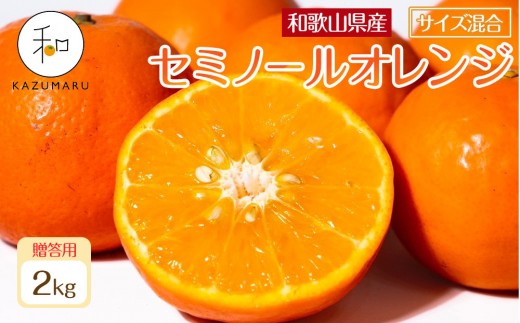 p X{_̎I IZ~m[IW 2kg a̎RY TCY mkCEEzsnm2026N4{珇nmRN110na̎RCs8000ʕEt[c