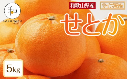 X{_̎I Ƃ 5kg a̎RY TCY mkCEEzsnm2026N2{珇\nmRN131na̎RCs20000ʕEt[c݂Ek