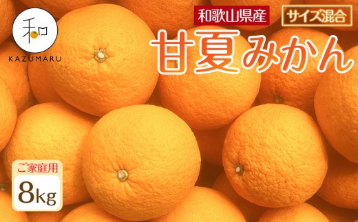 ƒp X{_̎I ÉĂ݂ 8kg a̎RY TCY mkCEEzsnm2026N4{珇nmRN71na̎RCs14000ʕEt[c݂Ek