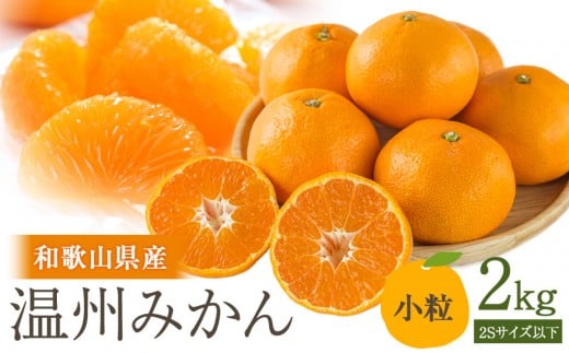 ms\n󂠂 B݂ 2kg m2025N11{珇\na̎RCs6000ʕEt[c݂Ek